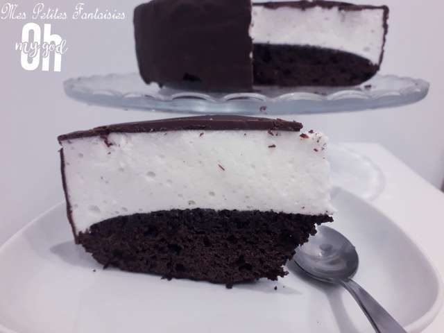 Recettes D Oiseaux Et Gateaux
