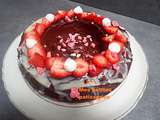 Gâteau chocolat/fraise