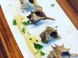 Escargots de mer ( bulots, murex, pointus, poivres )