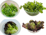 Salade flétrie : l’astuce simple pour lui redonner toute sa fraîcheur en 2 heures