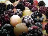 Comment congeler des fruits? 5 astuces