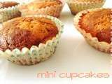 Mini Cupcakes Marbrés