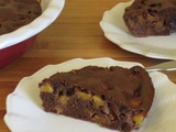 Gâteau choco-nectarines, bis