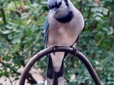 L’été s’envole