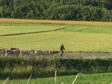Russie cible les infrastructures agricoles en Ukraine