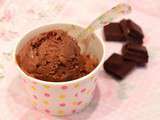Délicieuse glace au chocolat sans matière grasse (ou presque)