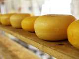 Fromage patate : le fromage sans œufs, sans lait, sans gluten