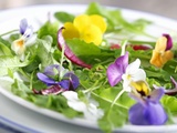 Best Edible Flowers – Comment cuisiner avec des fleurs comestibles
