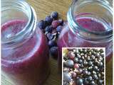 Smoothie pommes cassis casseillers