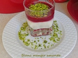 Blanc manger amande framboise pistache – Recettes autour d’un ingrédient #85