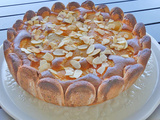 Gâteau léger aux abricots *- Foodista challenge # 124