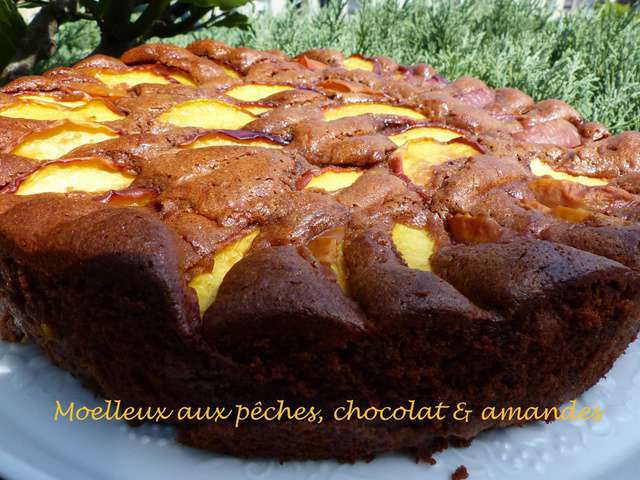 Les Meilleures Recettes De Nectarines Et Chocolat