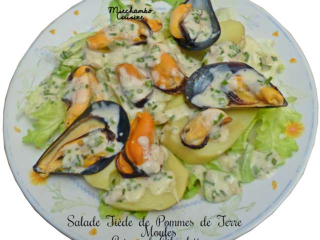 Recettes De Moules Et Salades