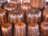 Avis de naissance des caneles de bourbon