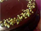Gâteau chocolat pistache de Mimi Thorisson #Companion