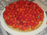 Tarte aux arbouses