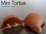 Chocolats fins : mini tortue