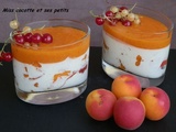 Panna cotta à l'abricot