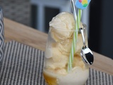 Glace au Yaourt à l’Abricot avec le Ninja Creami