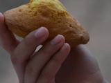 Madeleines
