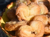 Palmiers maison