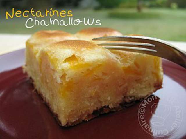 Les Meilleures Recettes De Chamallows Et Gateaux
