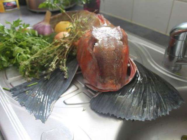 Recettes de Grondin de Mon Petit Tablier