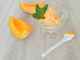 Glace au melon (Melon icecream)