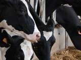 Etiquetage alimentaire, l’origine du lait & de la viande mieux indiquée