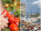 L’Italie du sud et ses délices d’initiés (2/3) : les tomates pelées en boîte