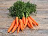 Pourquoi dit-on « les carottes sont cuites »
