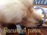 Biscuits pour 4 pattes