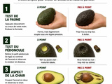 Avocat : 4 tests infaillibles pour savoir s’il est encore consommable