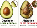 Avocat noirci : la couleur ne suffit pas pour décider de le manger