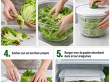 Conserver une salade au frigo : la méthode sèche pour garder le croquant 5 à 7 jours