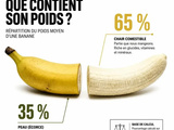 Poids moyen d’une banane : repères de portions et réalité nutritionnelle