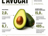 Protéines dans l’avocat : analyse nutritionnelle et place dans votre alimentation