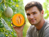 Vous débutez ? Voici comment cultiver des melons juteux et ultra savoureux tout l’été