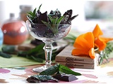 Feuilles de menthe fraîches, cristallisées et chocolatées....Hummmmmmm