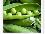 I love peas : petits pois au beurre et au chou pointu