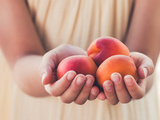 Fruit de saison : l’abricot