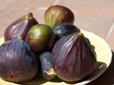 Fruit de saison : la figue