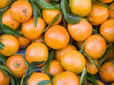 Fruit de saison : la mandarine