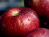 Fruit de saison : la pomme