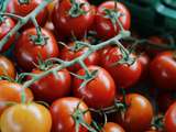 Légume de saison : la tomate