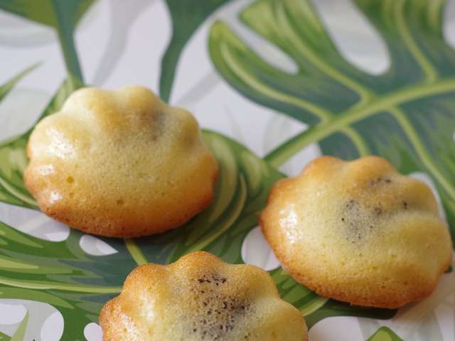 Recettes de Pâte à Tartiner et Noix de coco