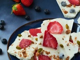 Ecorces de yaourt glacés fraises/myrtille