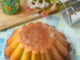 Gâteau de Savoie