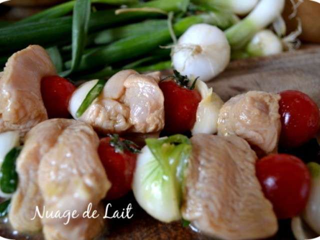 Brochettes de légumes au barbecue, laquées sauce soja