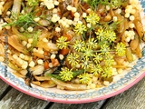 Salade de Fenouil Braisé et Pâtes  Petit Plomb 